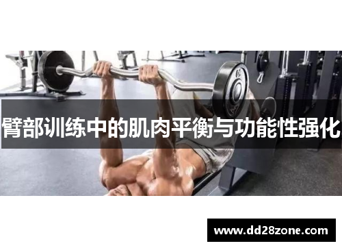 臂部训练中的肌肉平衡与功能性强化